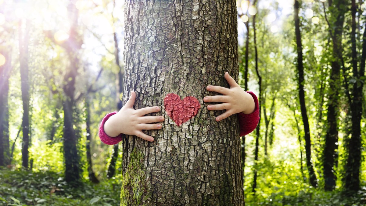 10/04/2021 Claves para educar en el amor hacia la naturaleza
SOCIEDAD
ISTOCK